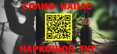 крисы Гатчина