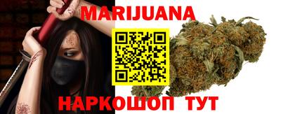 крисы Гатчина