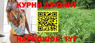 крисы Гатчина