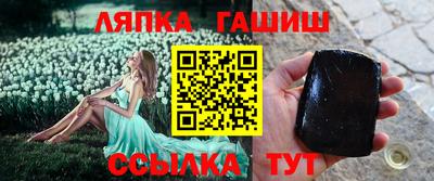 крисы Гатчина